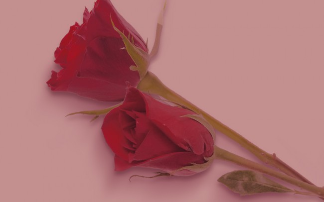 ValentineRoomPreview